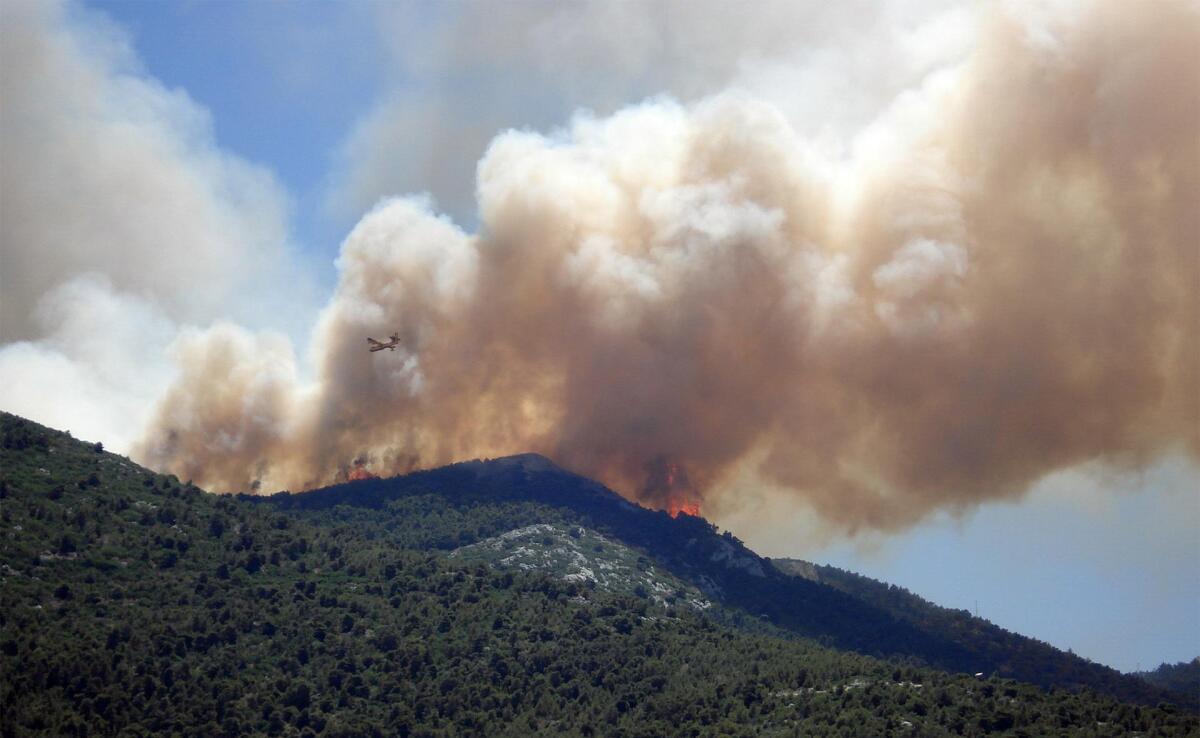 Incendi boschivi, Legambiente: "liberate grandi quantità di polveri sottili" - 