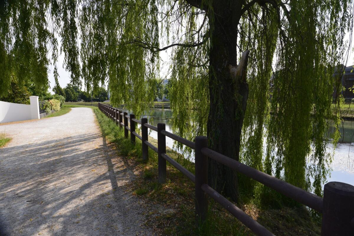 Approvato il progetto per il percorso naturalistico sul fiume Fiume - 