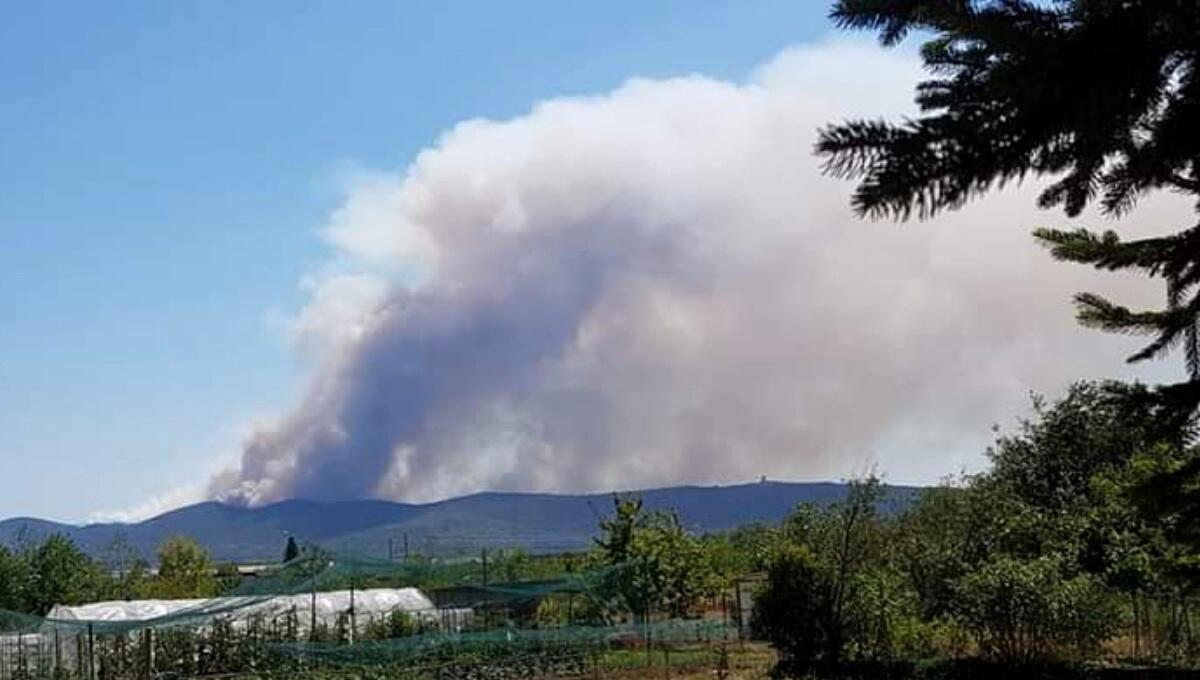 Maxi incendio sul Carso: al lavoro 200 pompieri, 50 mezzi, 4 elicotteri, 1 canadair croato in arrivo - 