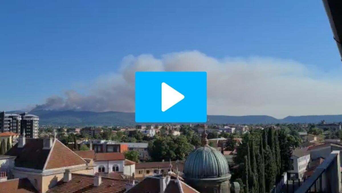 Incendio sul Carso, fiamme alte: interviene un canadair croato - VIDEO - 