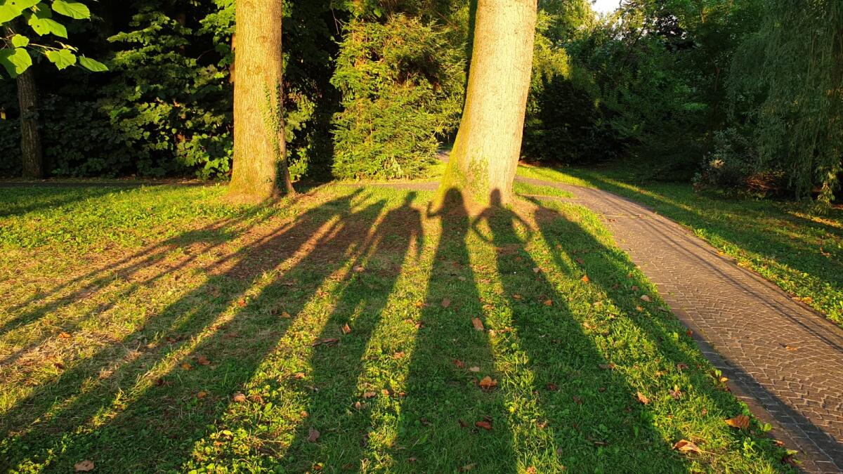 Garcia Lorca e Shakespeare, doppio spettacolo il 21 e il 22 luglio fra Tissano e i bastioni di Palmanova - 