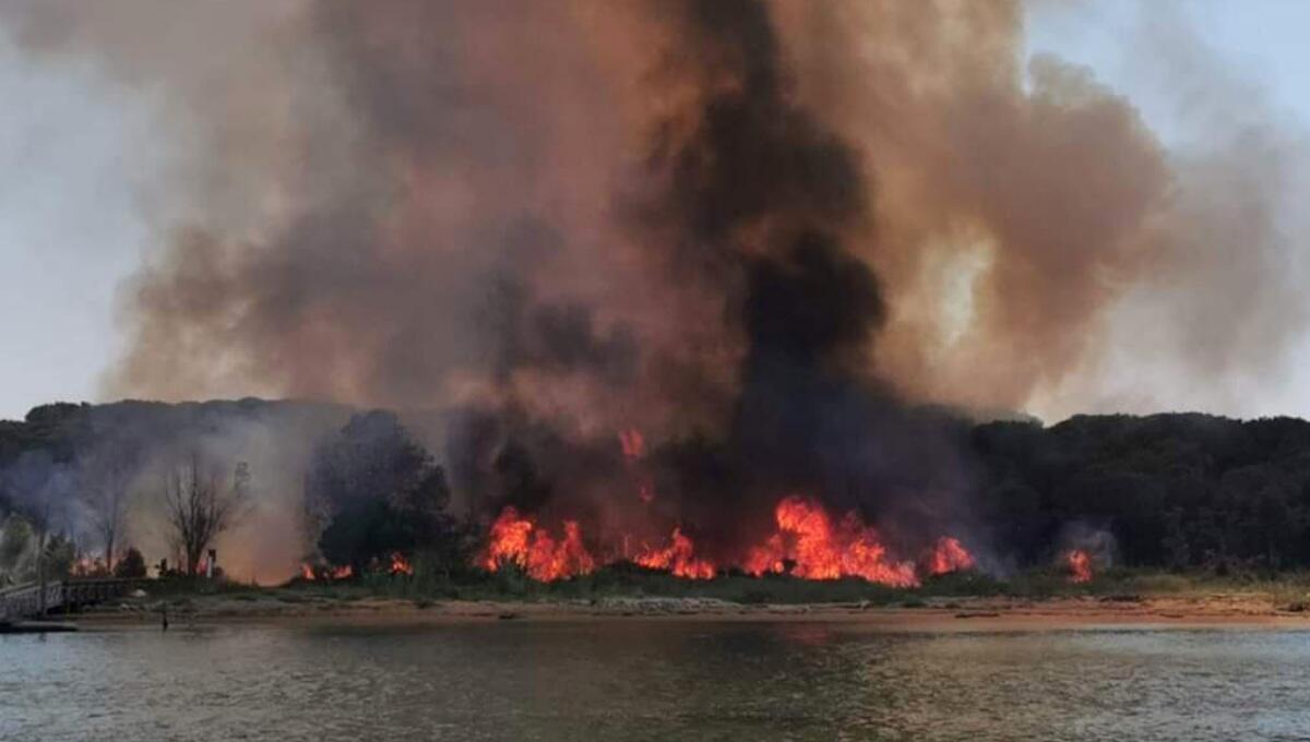 Vasto incendio a Bibione: alta colonna di fumo visibile da lontano - 