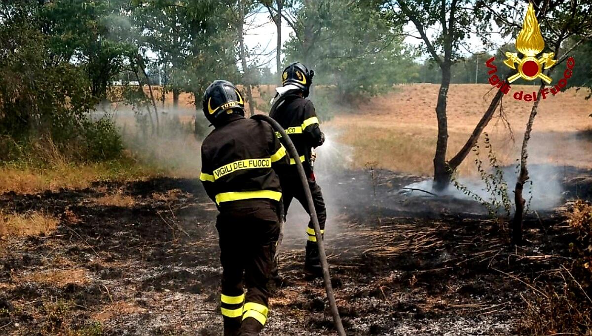Incendio a Basaldella di Campoformido: le fiamme minacciano il bosco - 