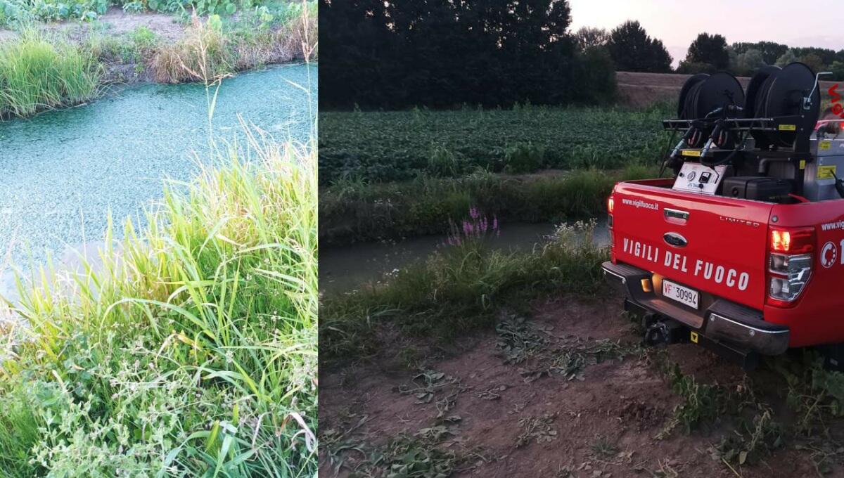 Bimba di quasi tre anni ritrovata annegata in un canale - 