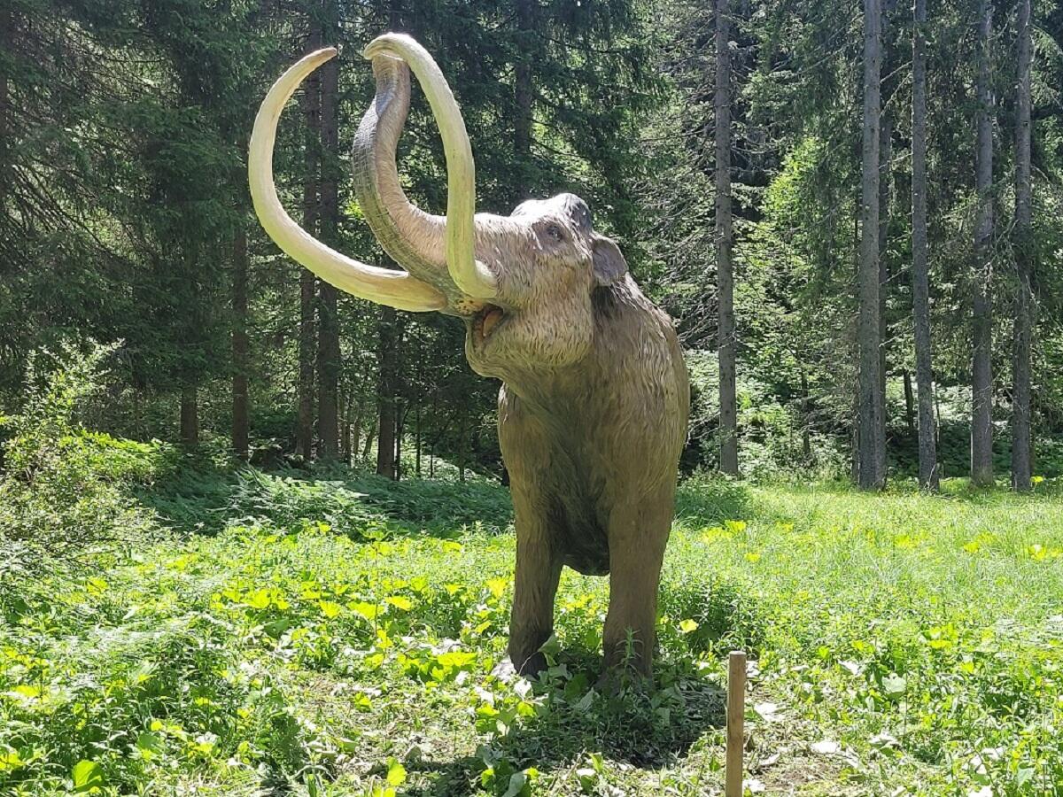 A Selva di Cadore un'estate con i dinosauri: un ricco calendario di eventi per la mostra dedicata - 