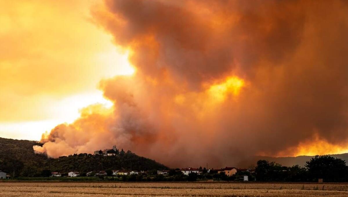 Incendi sul Carso, fermato un uomo dalla Polizia slovena - 
