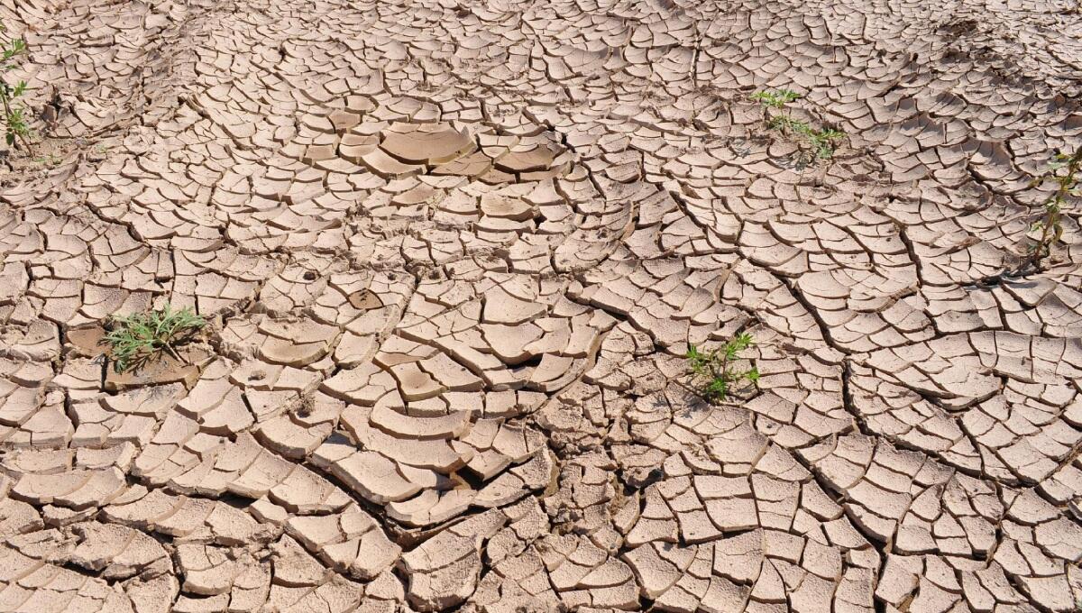 Siccità nel Portogruarese - Sandonatese: il Capogruppo Rodriquez scrive al Ministro Patuanelli - 