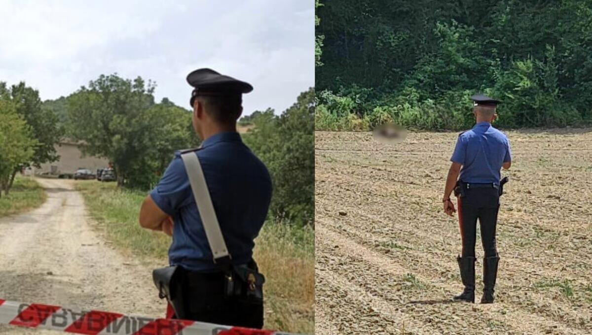 Cadavere in stato di decomposizione in un terreno agricolo a Dignano - 