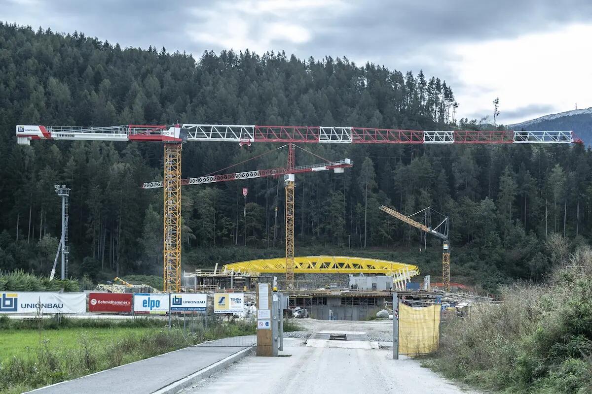 Treviso, le gru salvano le api e il loro ecosistema: accordo tra Niederstätter e la startup 3Bee - 