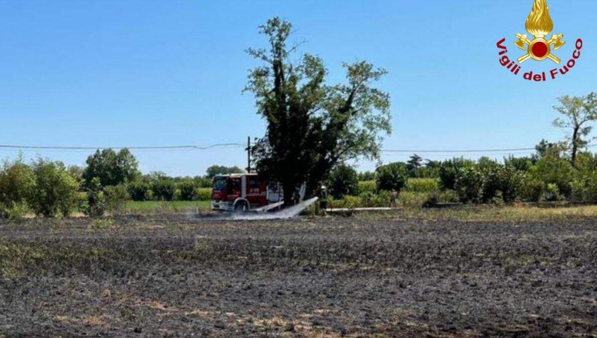 Incendio a Sedegliano, brucia un campo: i pompieri evitano il peggio - 