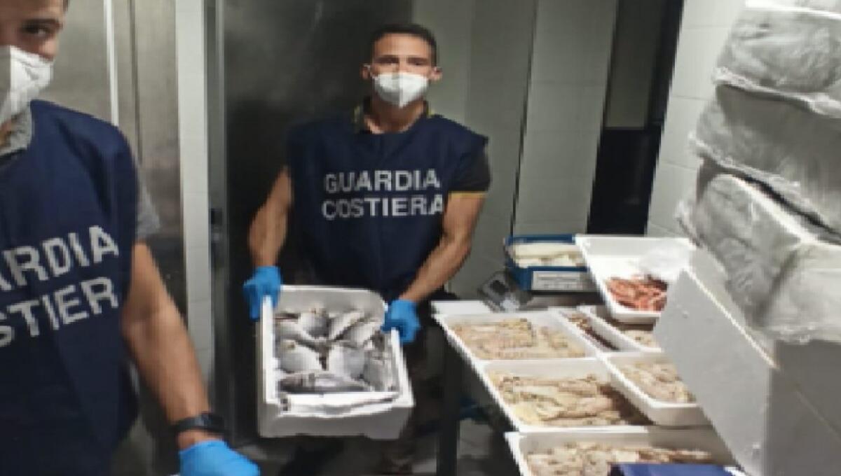 Sequestrati 200 chili di pesce a Lignano: multa da 1.500 euro al titolare di un locale - 