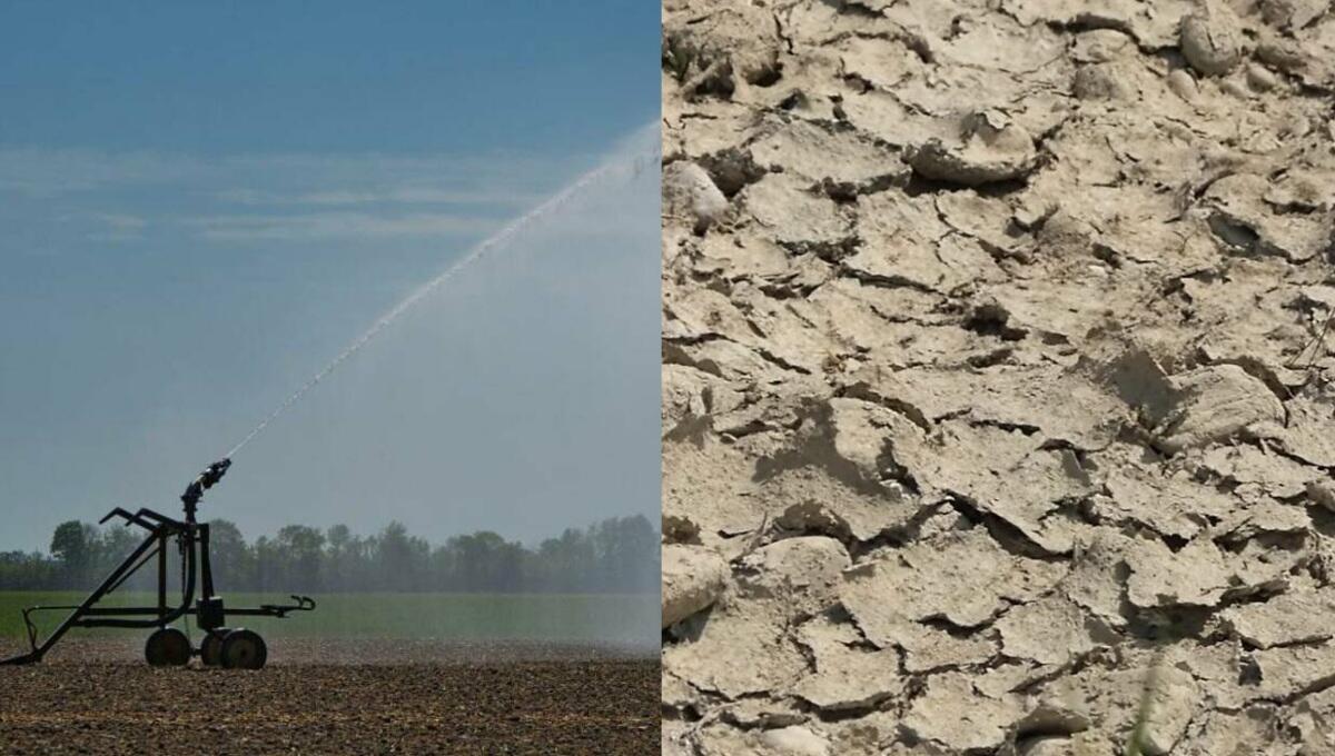 Meduna, grave siccità: stop alle irrigazioni dalla mezzanotte di domani - 