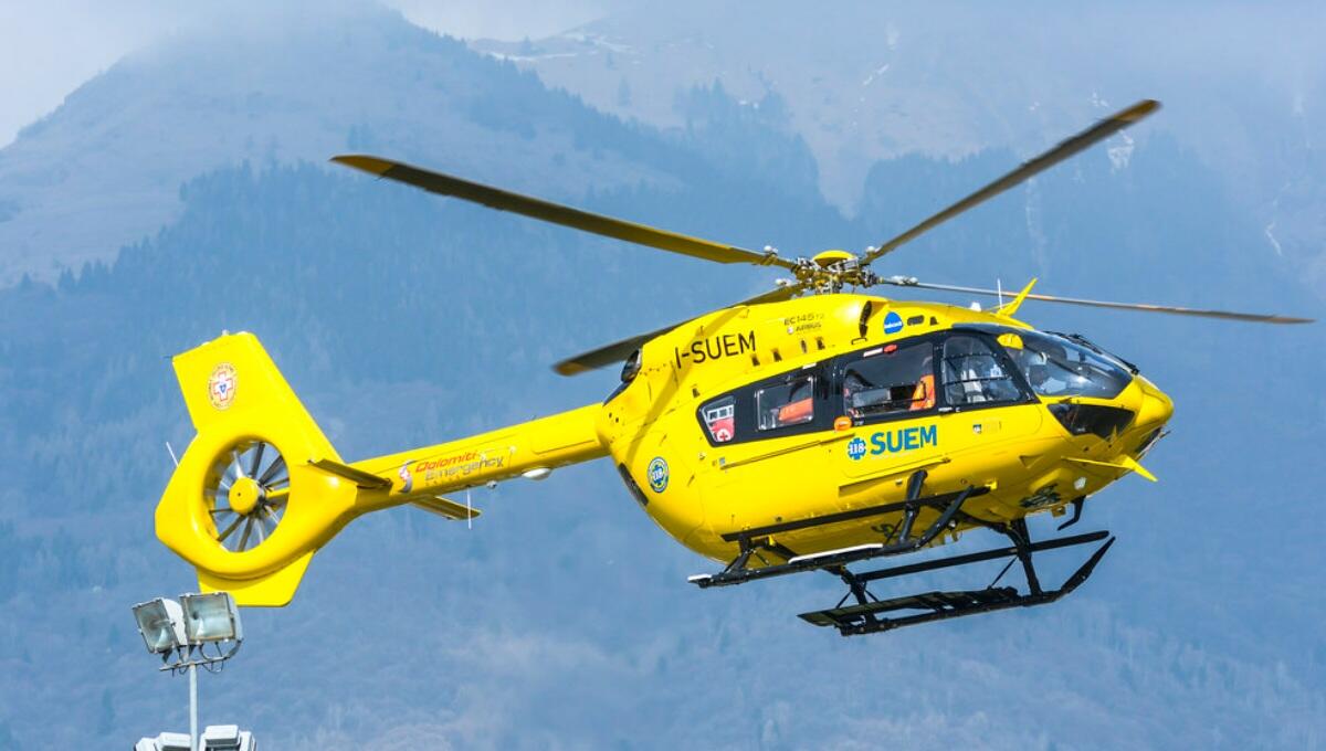 Intento a fare foto cade dall'albero per 5 metri: grave fotografo - 