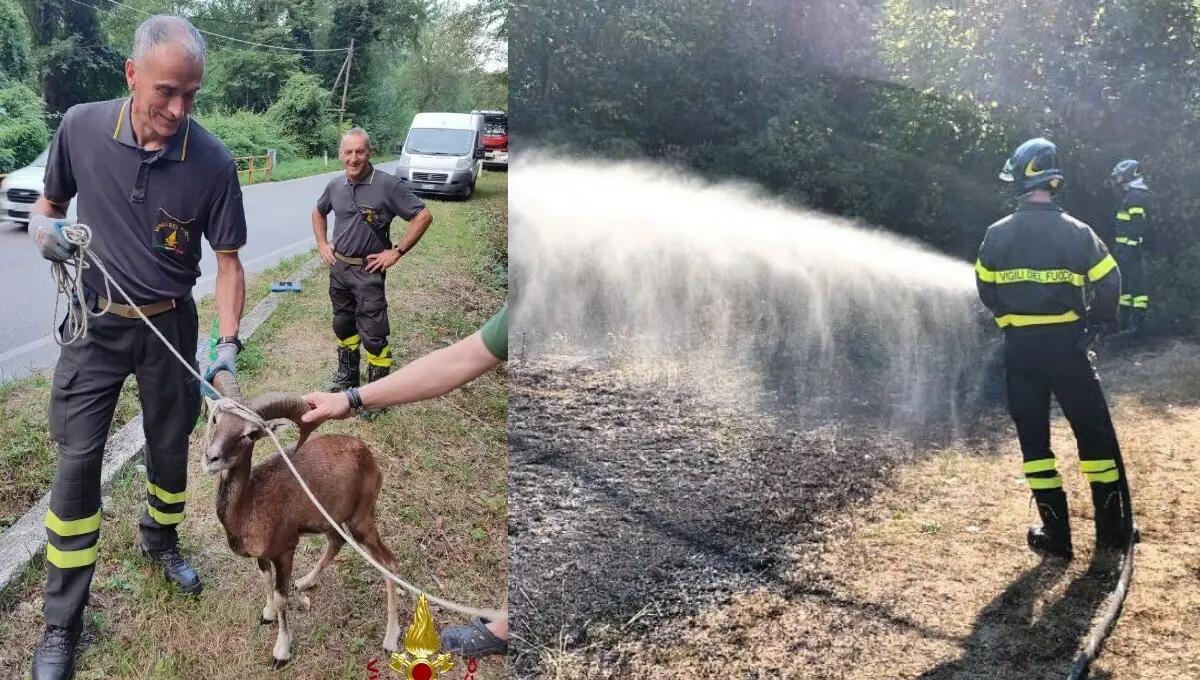 Una decina di interventi a Ferragosto per i pompieri di Pordenone - 