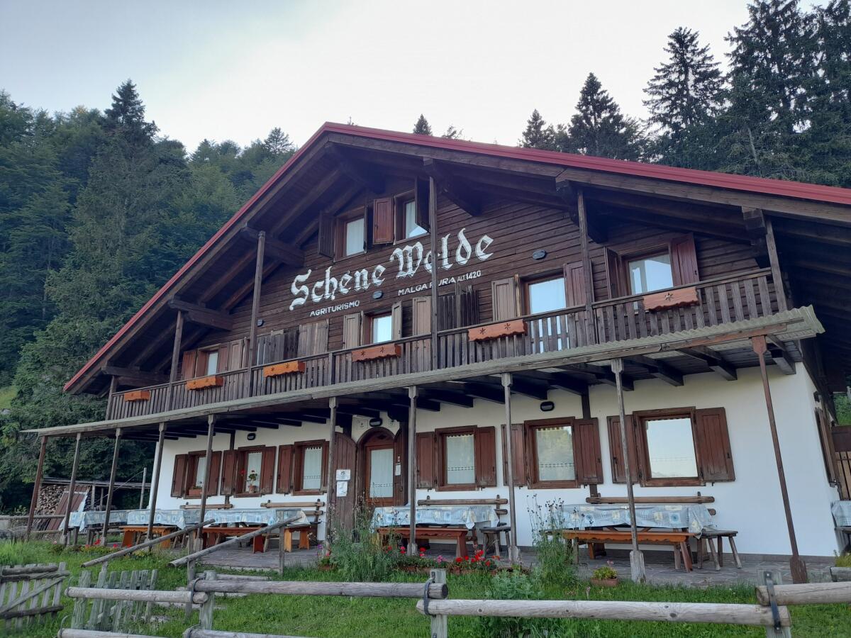 Malga Pura: oggi l'apertura della prima forma di formaggio di stagione - 