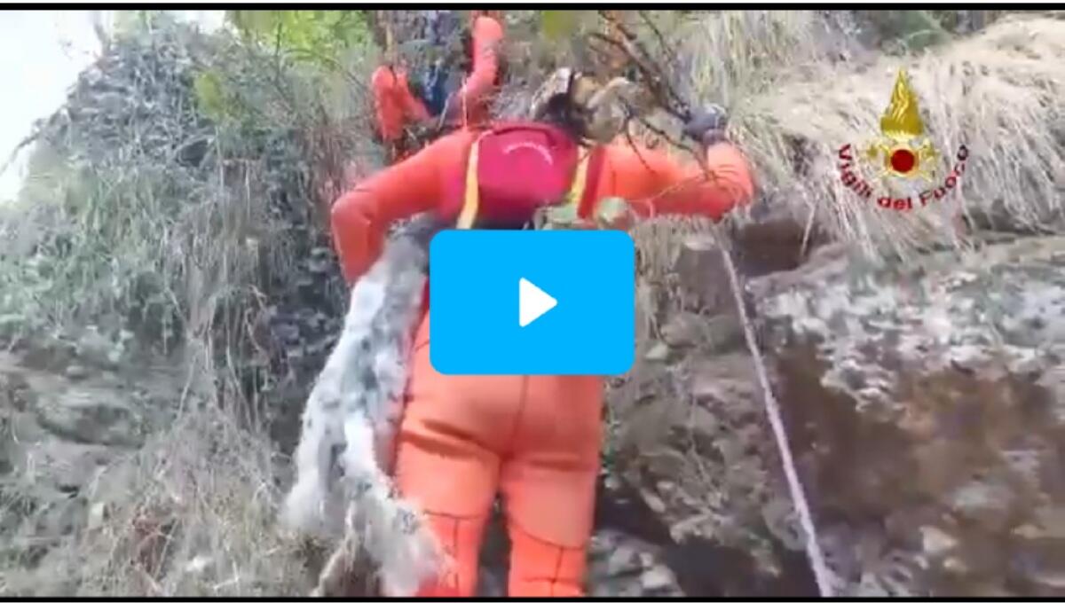 Setter cade per 40 metri lungo un costone: salvato dai pompieri - 