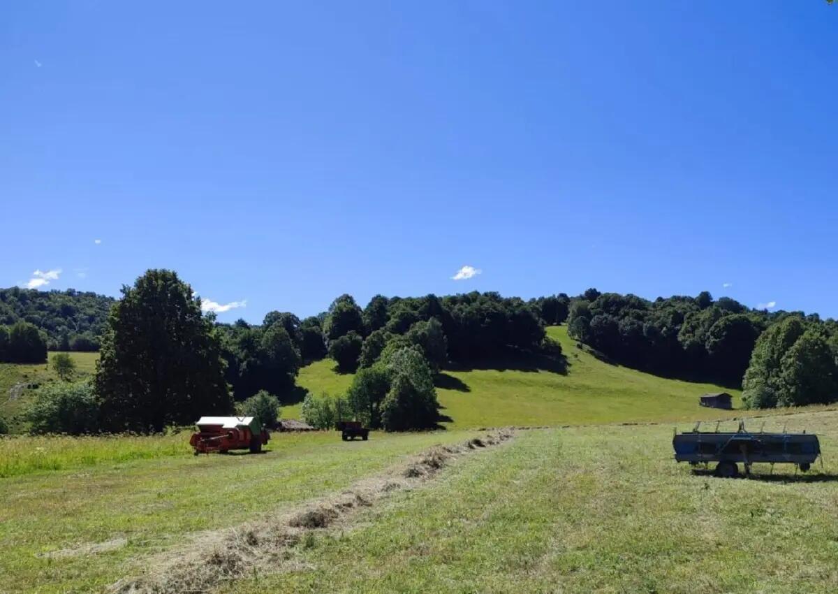 Torre Natisone, tanti eventi per fine agosto 2022 - 