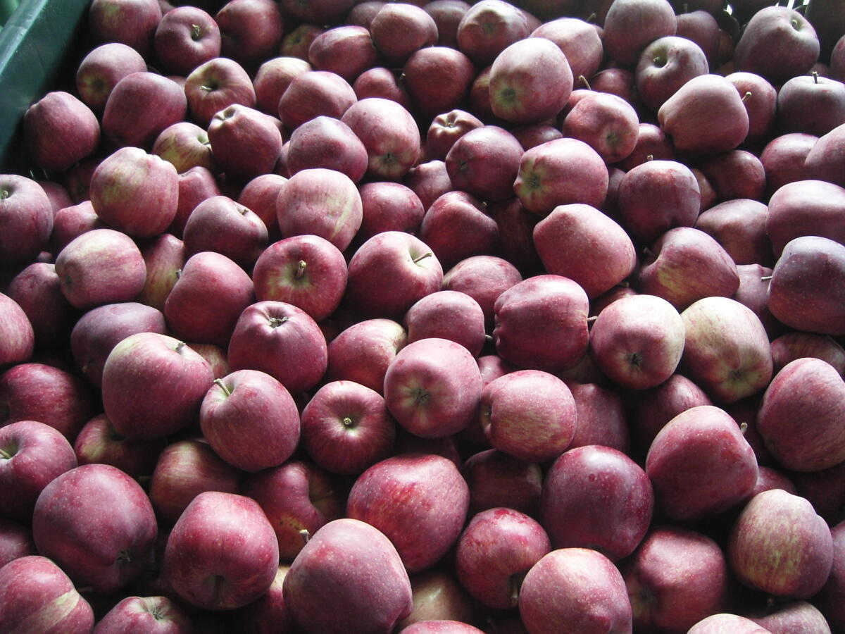 Dal 22 agosto aprono le iscrizioni al 32esimo “Concorso Mieli Città di Pantianicco” - 