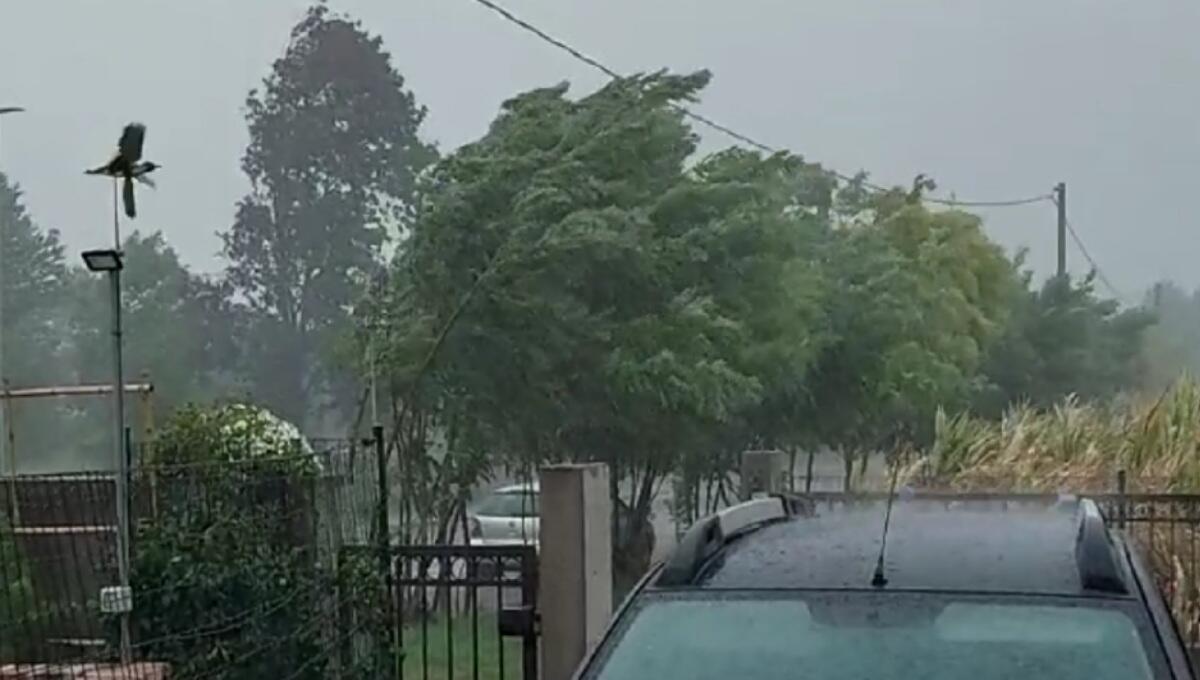 Raffiche di vento e nubifragi nel pordenonese: 50 interventi dei vigili del fuoco - 