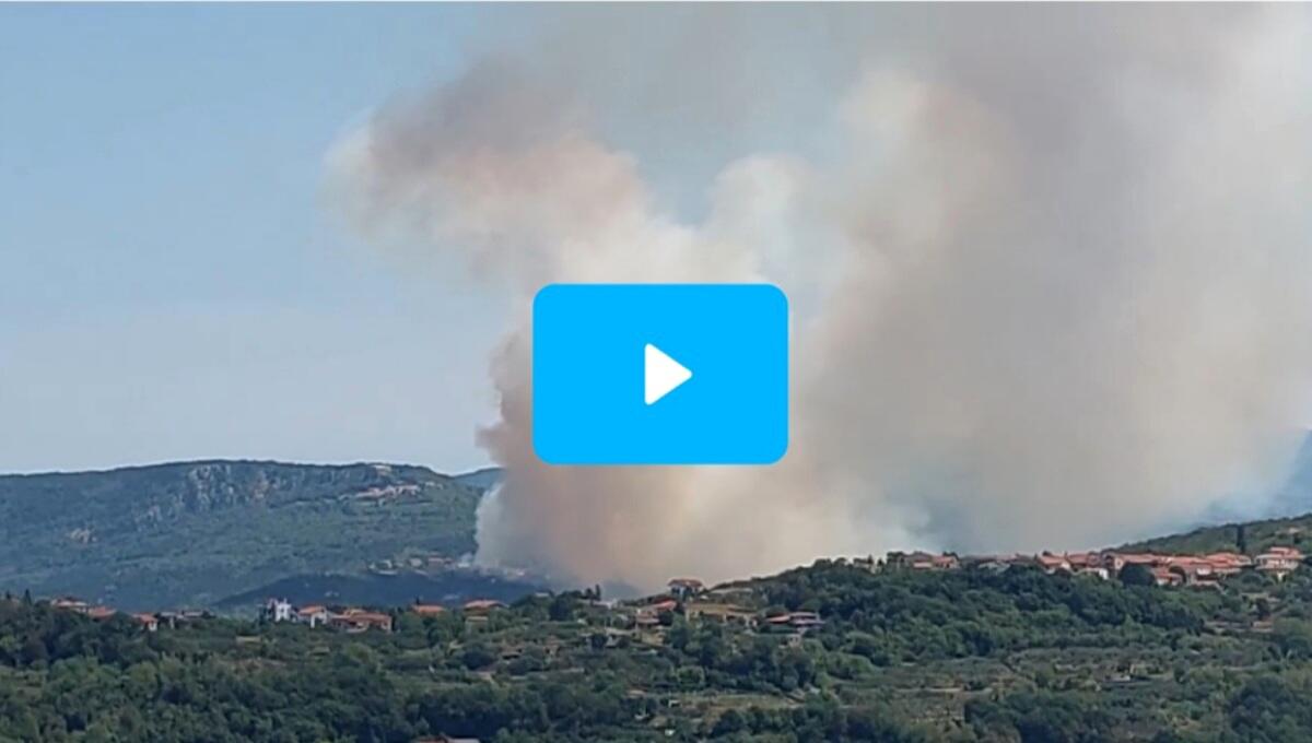 Riprende forza l'incendio sul Carso a San Dorligo della Valle - 