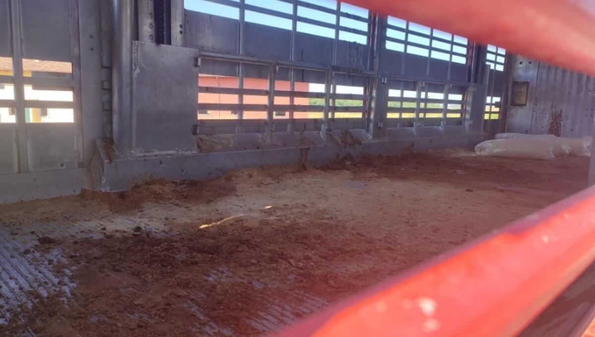A4, Tir destinato al trasporto di bovini carico di liquami e sporcizia: sanzionato - 
