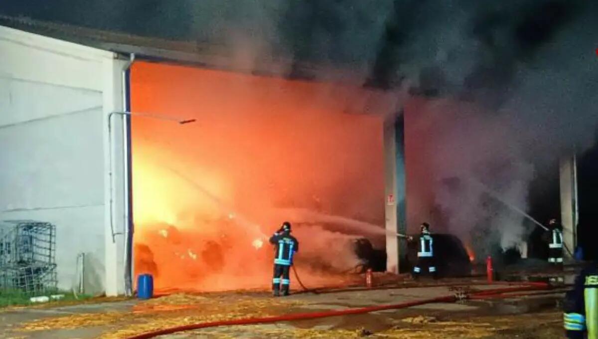 Maxi incendio nel deposito di un'azienda agricola, bruciato anche un carrello elevatore - 
