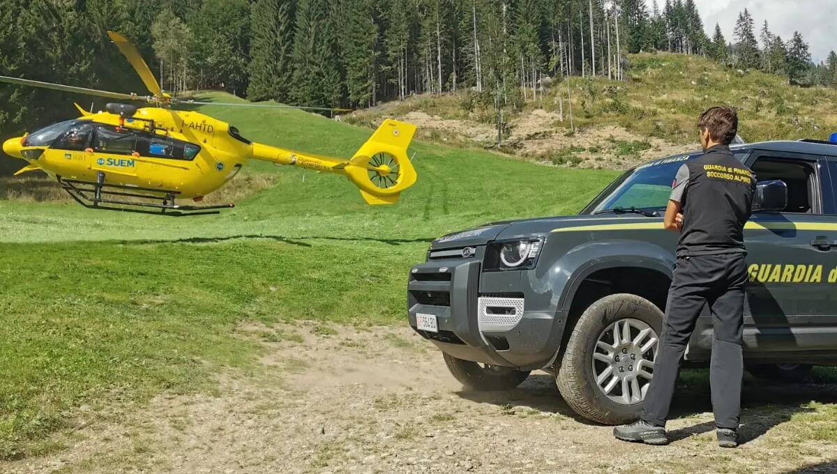 Calpesta un nido di vespe: shock anafilattico in Val Visdende per un 60enne friulano - 