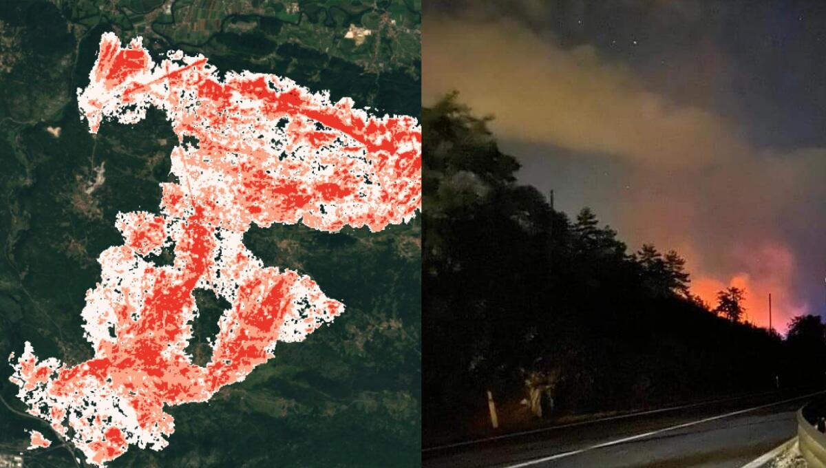 Incendi nel Carso, persi 3700 ettari di bosco - 