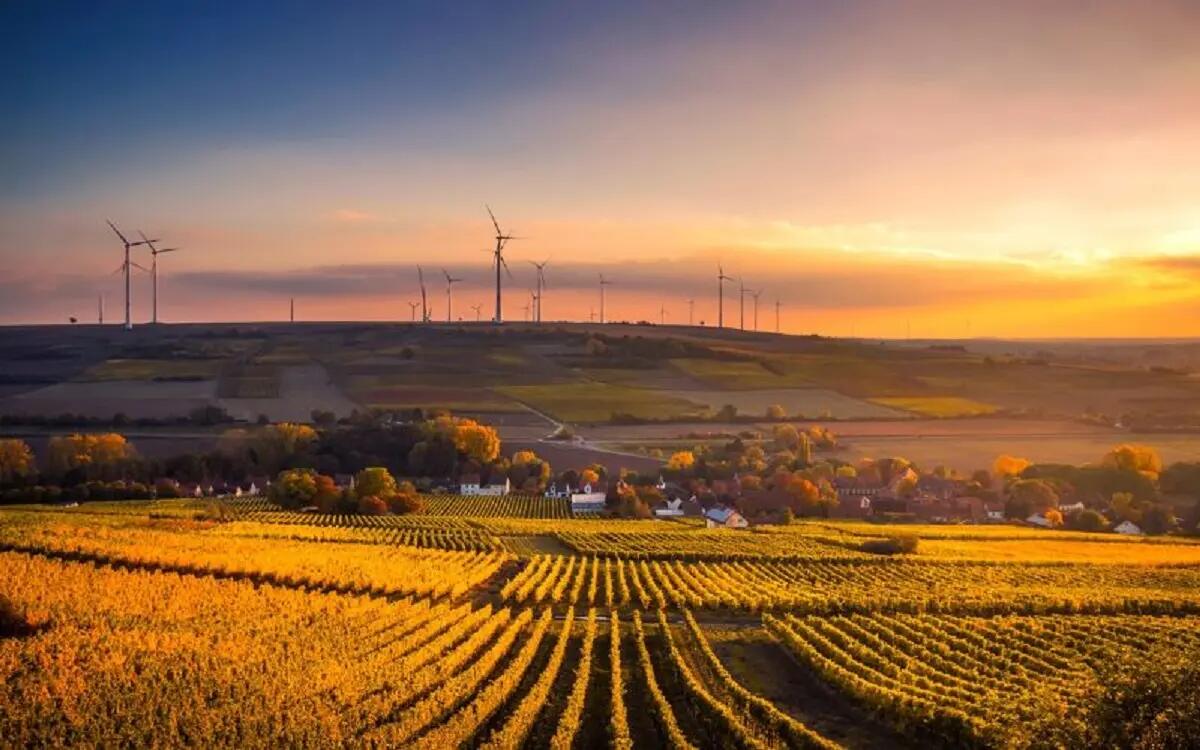 Quali sono i principali fabbricanti di bulldozer nel mondo? - 