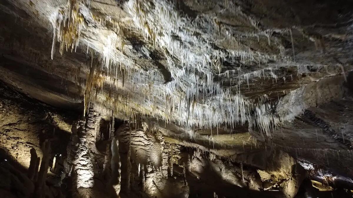 Primo matrimonio civile a 100 metri di profondità alle Grotte di Villanova - 