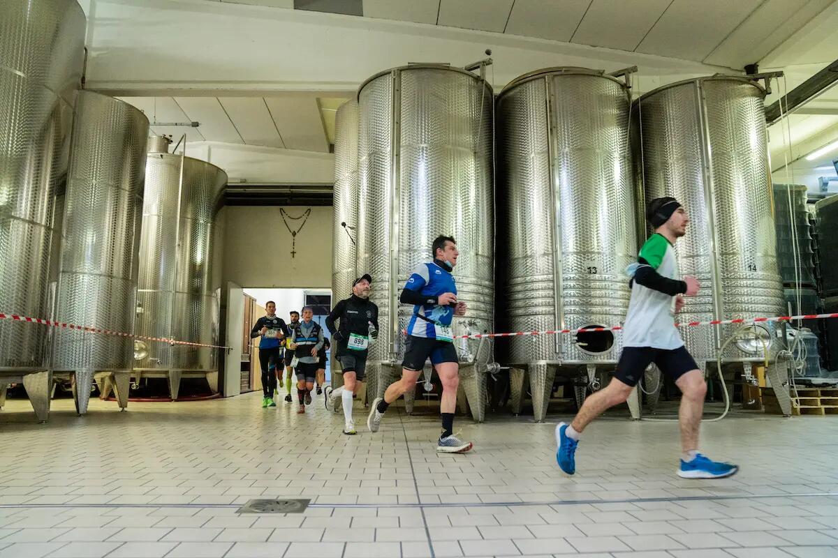Già oltre 550 iscritti alla 12^ Prosecco Run, la maratonina nel cuore delle colline del Prosecco, con partenza da Vidor - 