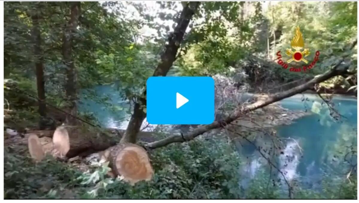 Rimosso un albero di 20 metri sul fiume Noncello: ostacolava il deflusso delle acque - 