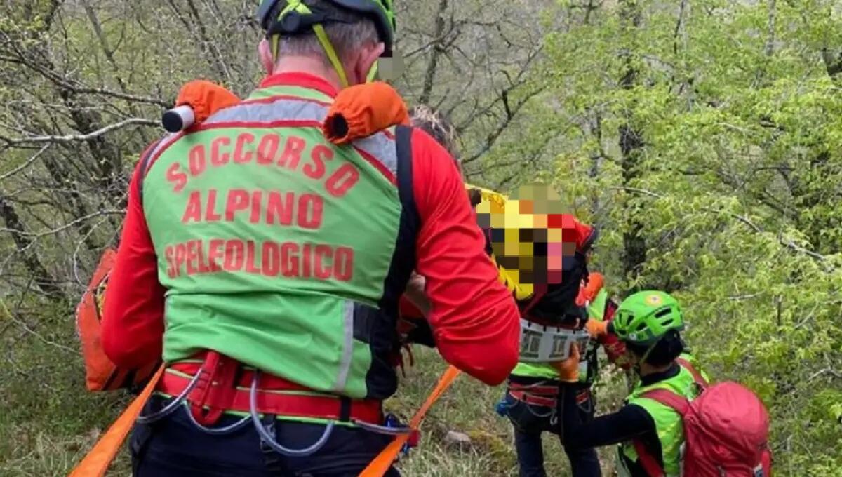 Malore fatale nel bosco per un cacciatore: morto 64enne - 