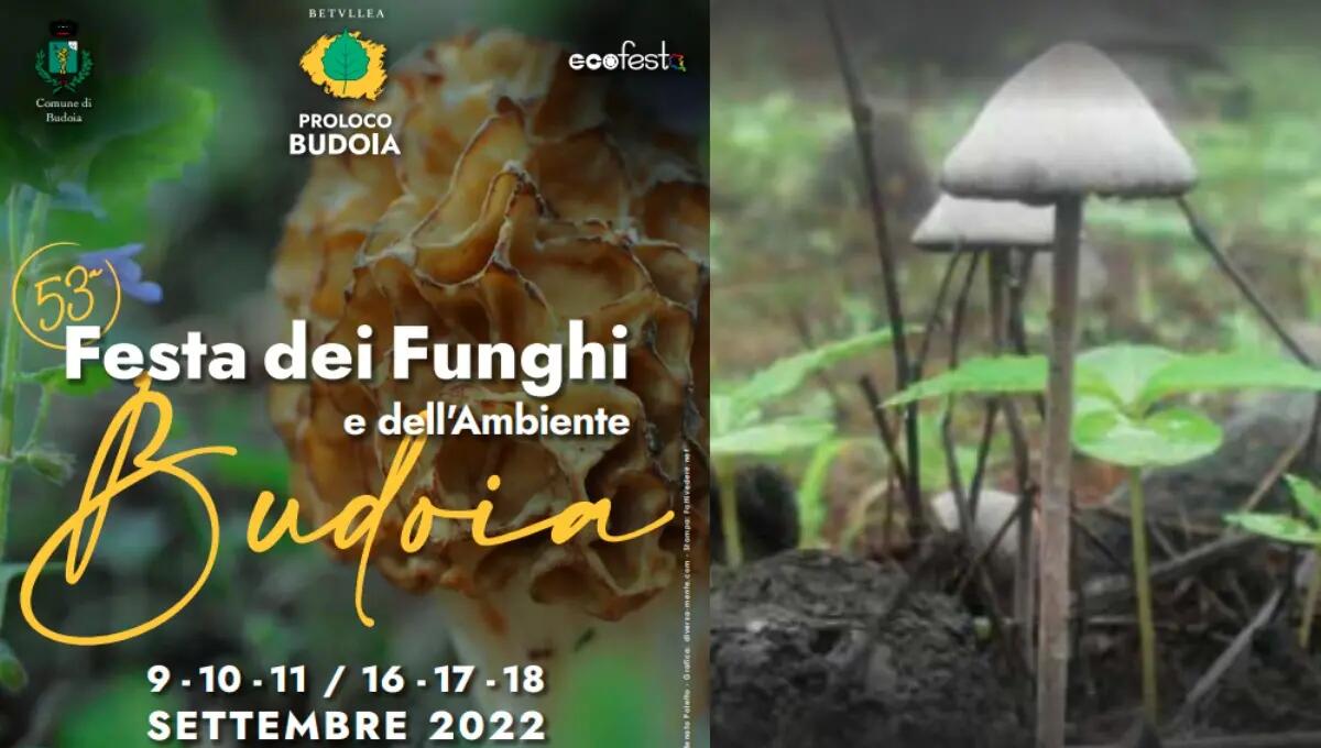 Budoia, inaugura la 53esima Festa dei Funghi e dell'Ambiente - 