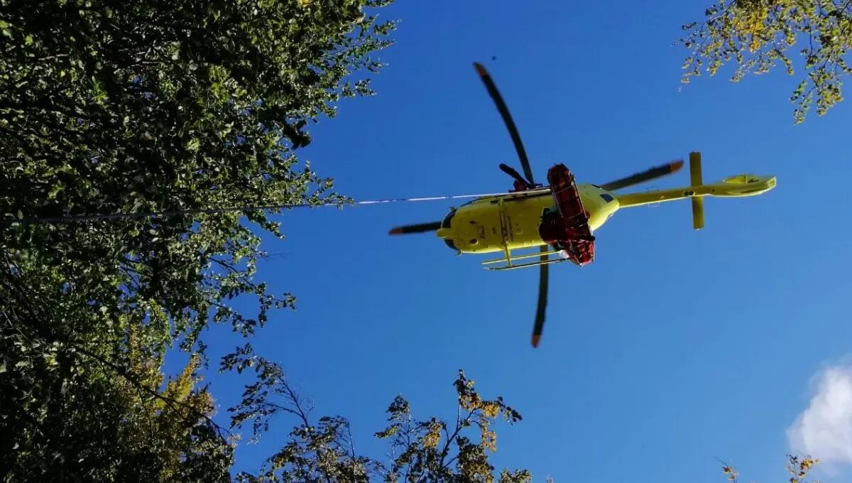 Colpito da un grosso ramo mentre fa la legna: elitrasportato all'ospedale - 