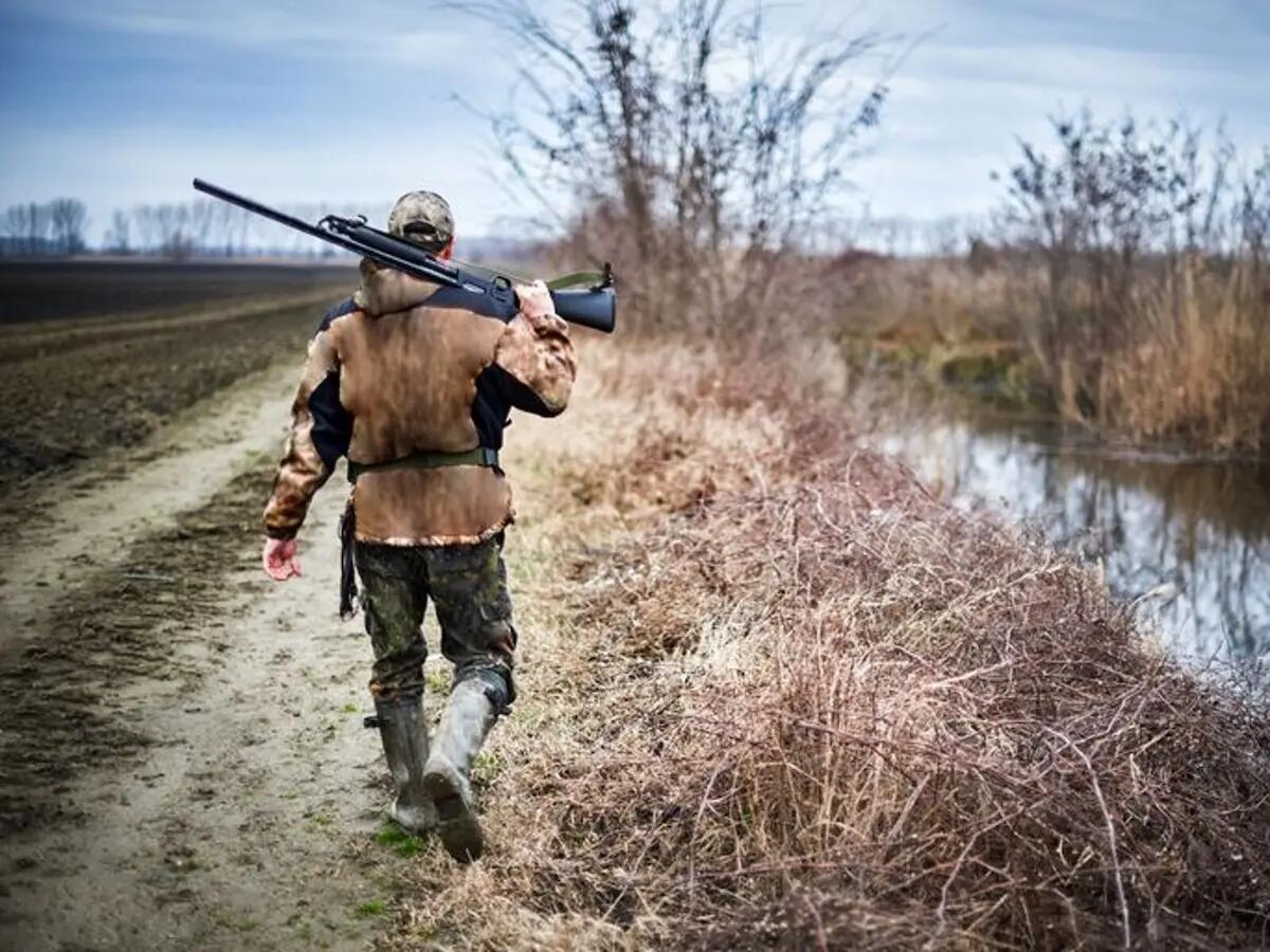 Ciclista impallinato da un cacciatore mentre pedala: colpito alla testa - 