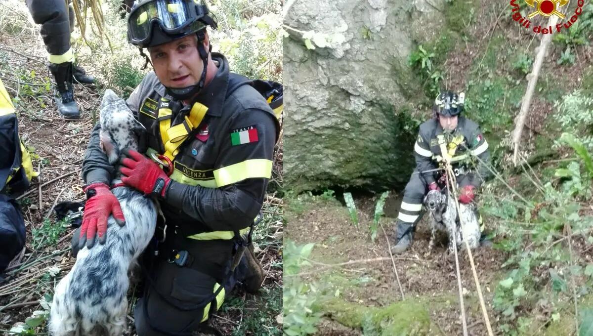 Mara cade in una voragine di 20 metri: Setter inglese salvata dai pompieri - 