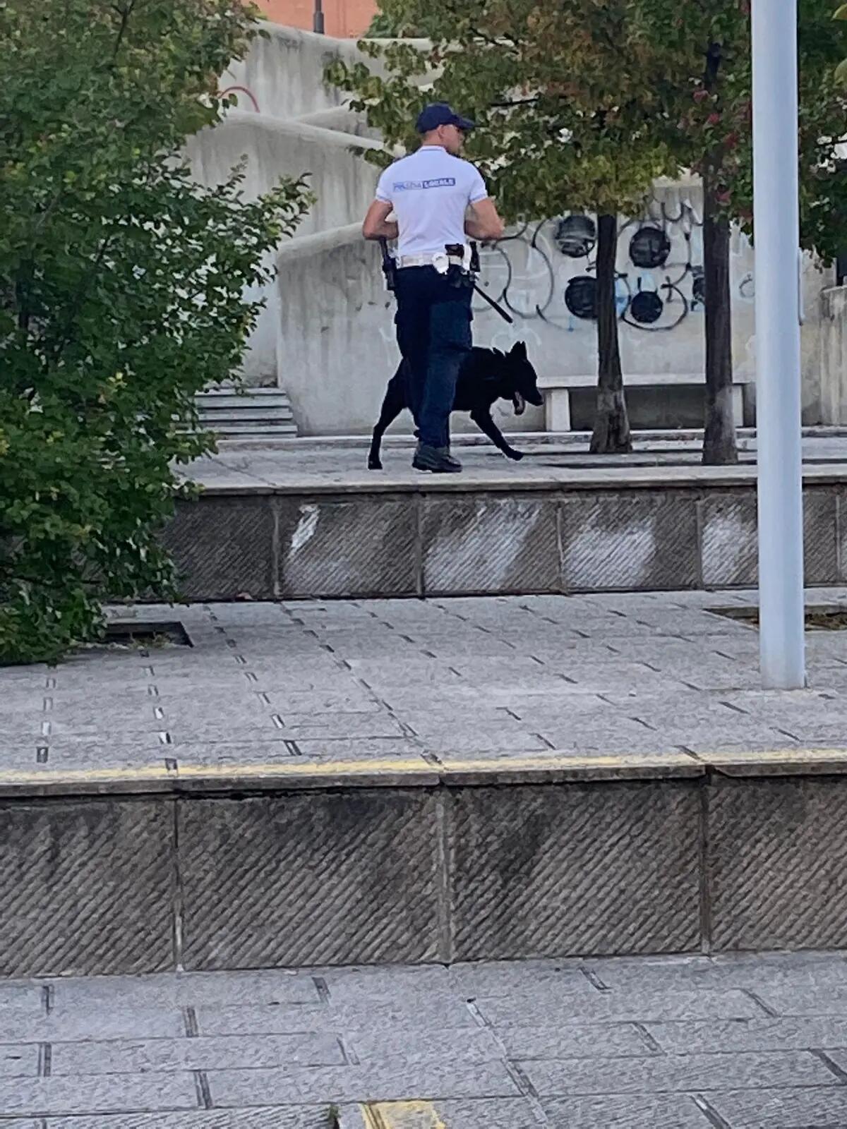 La prevenzione antidroga come vera cura. Controlli della Polizia Locale coadiuvata dal nucleo cinofilo del comune di Udine - 