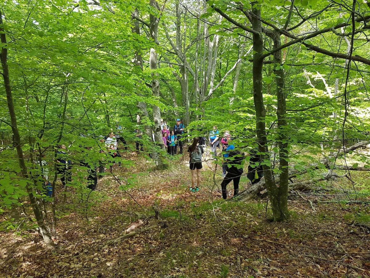 Terapia forestale: un progetto europeo/transfrontaliero dell'Università di Udine - 