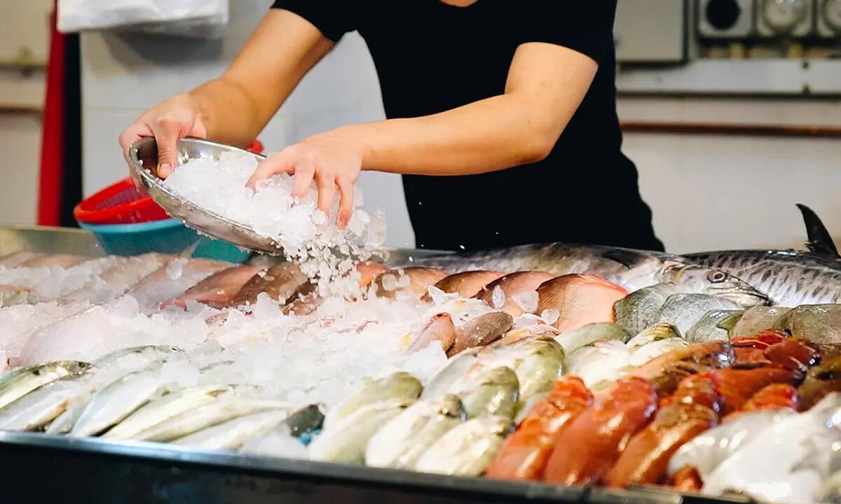 Pesce messo a scongelare nel secchio delle pulizie: 1000 euro di multa ad una pescheria - 