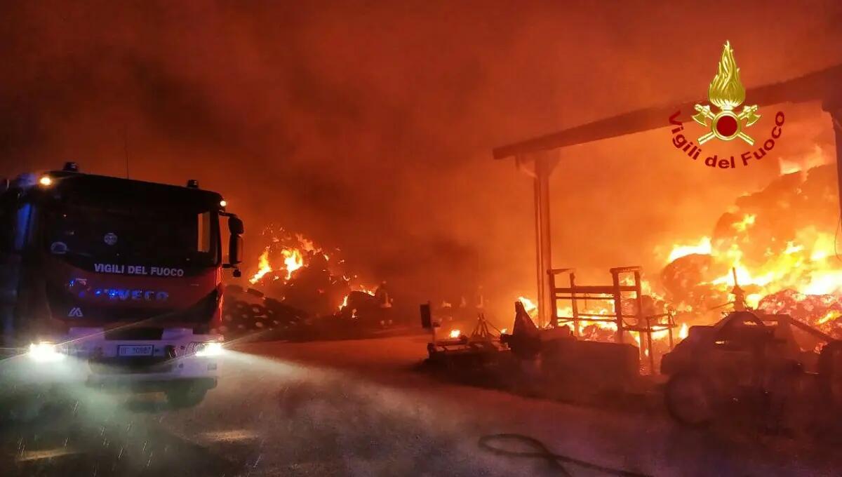 Vasto incendio in un'azienda agricola: bruciano 1600 quintali di foraggio, in salvo gli animali - 