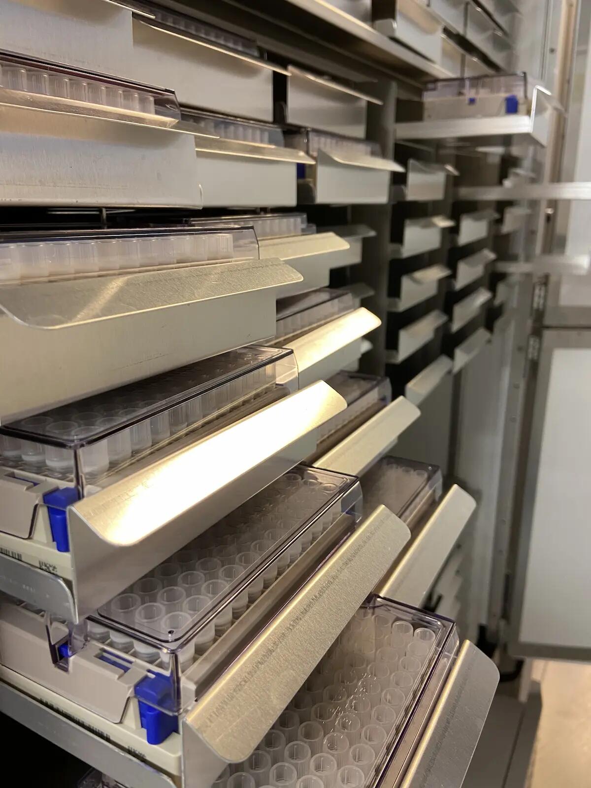 Ricerca scientifica: università di Udine, Asufc e Cro di Aviano insieme per la prima biobanca in rete del polo udinese - 