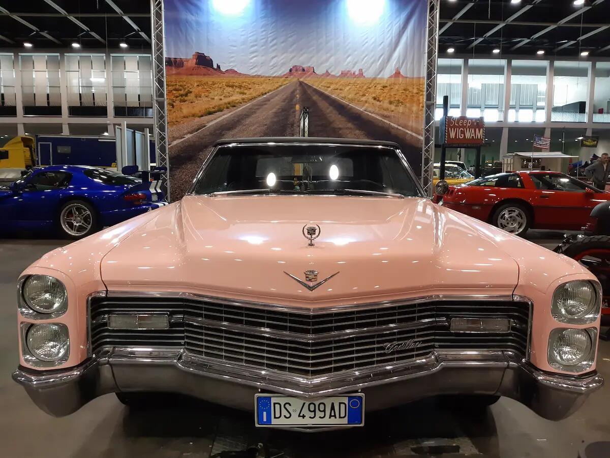 Tuttinfiera 2022, un ponte di tre giorni di passioni a Padova - 