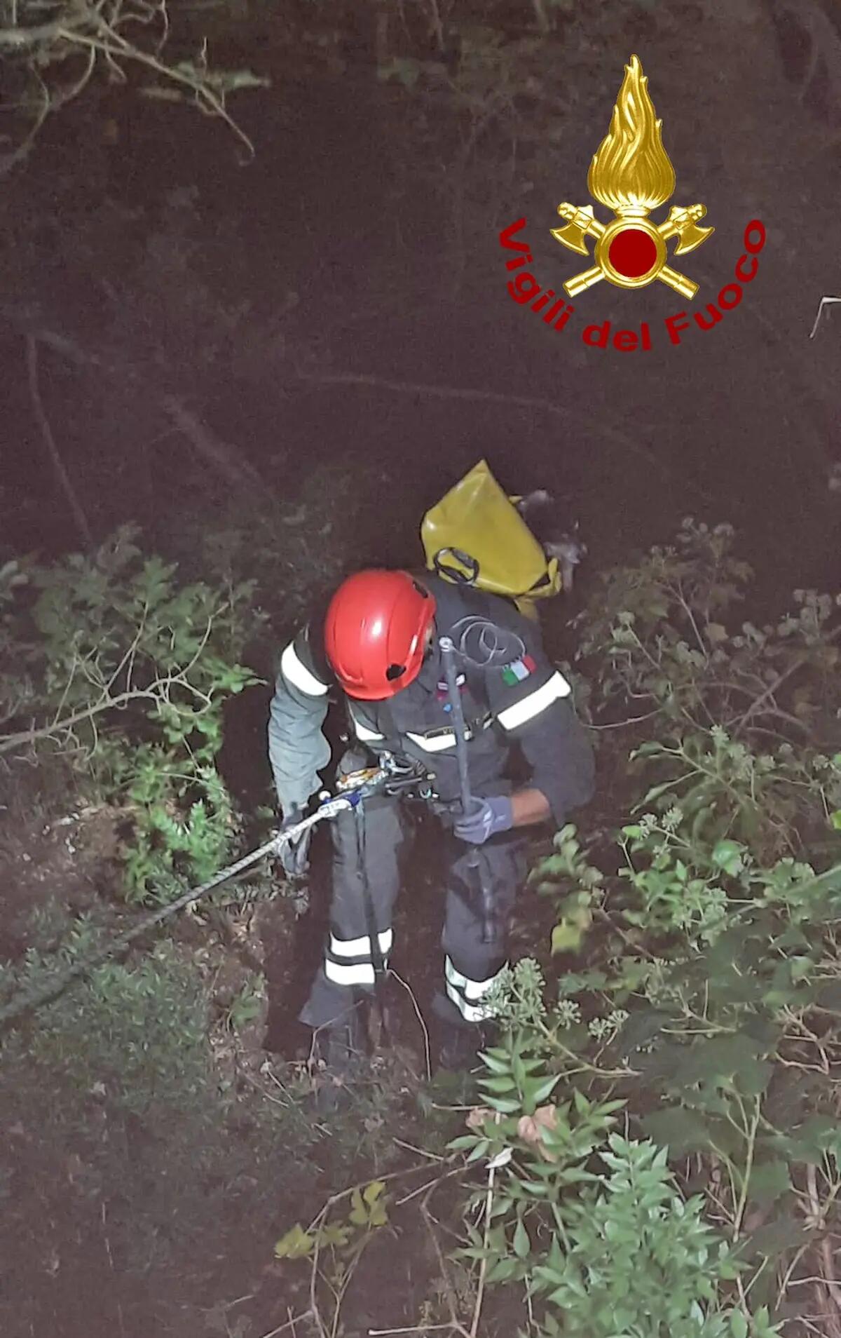 Vigili del fuoco portano in salvo un cagnolino finito in un burrone - 