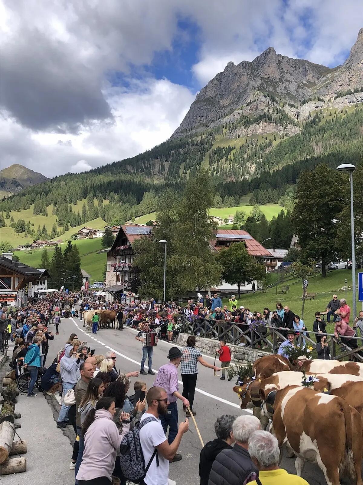Un'estate da record per Selva di Cadore, Belluno: la mostra sui dinosauri chiude totalizzando 15mila visitatori - 