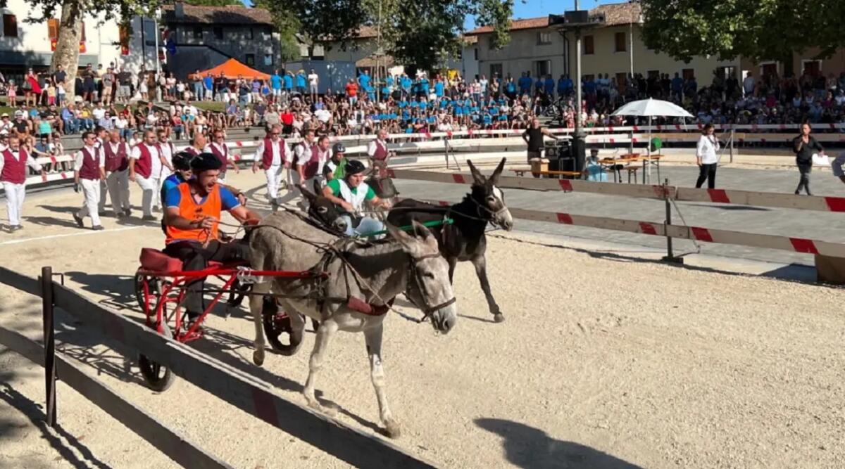 A Fagagna la Corsa degli Asini della tradizione friulana - 