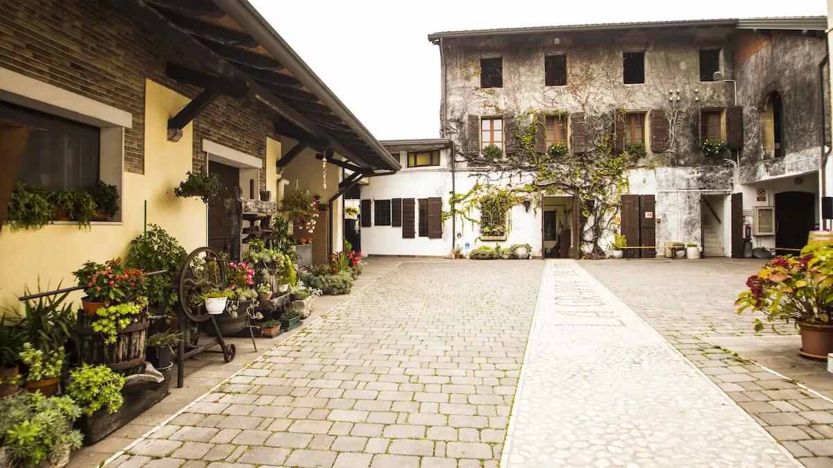 Giornate FAI d’autunno 2023: a Trieste si va alla scoperta de "Il viaggio del caffè"  - 