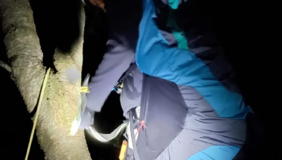 Precipita con il parapendio e rimane sospeso su un albero: recuperato 56enne - 