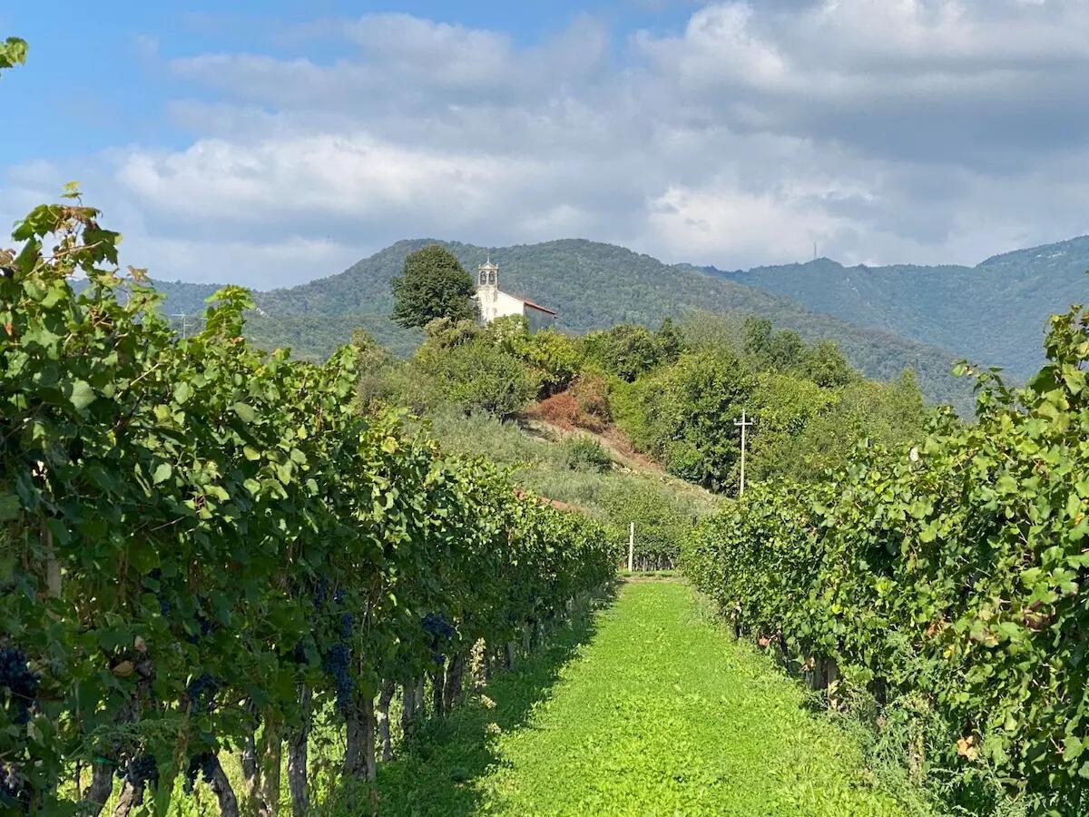 Giornate FAI d'autunno: tanti luoghi visitabili in Friuli Venezia Giulia - 