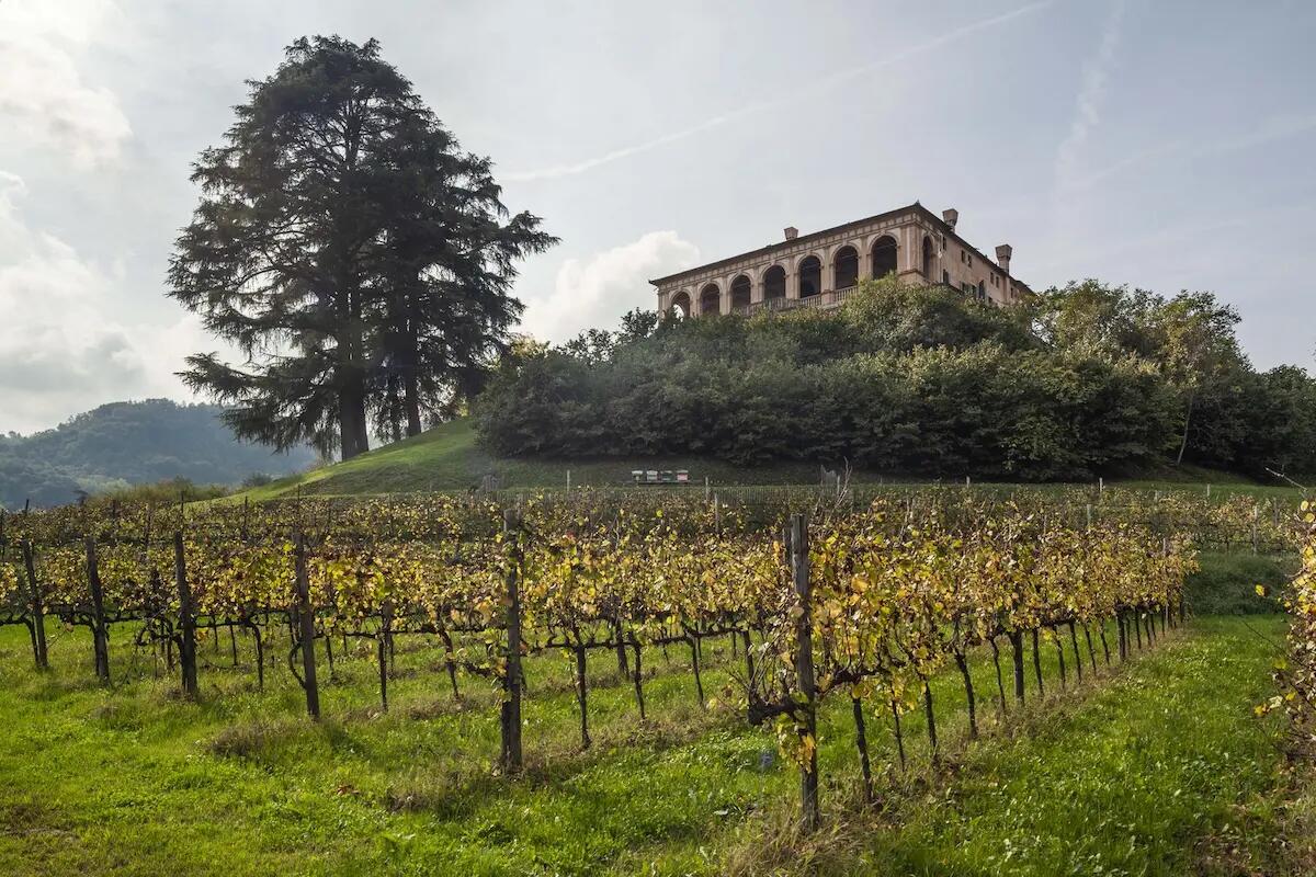 Halloween con il Fai: dal 29 al 31 ottobre "Curiosità e misteri, Frankenstein sui Colli Euganei" - 